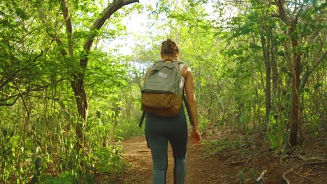 Eine-Junge-Brünette-Mit-Ihrem-Rucksack,-Die-Durch-Den-üppigen,-Friedlichen-Wald-Geht---Weit-Rollende-Einstellung