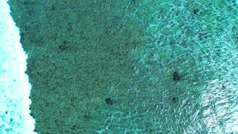 Emerald-sea-texture-seen-from-above,-with-white-waves-washing-coral-reefs-and-pebbles-on-sea-bottom-in-Antigua