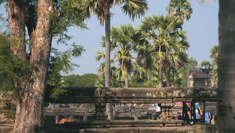 Wide-Shot-of-Ancient-Structure,-with-Tourists-Walking-Past-with-Palm-Trees-Around