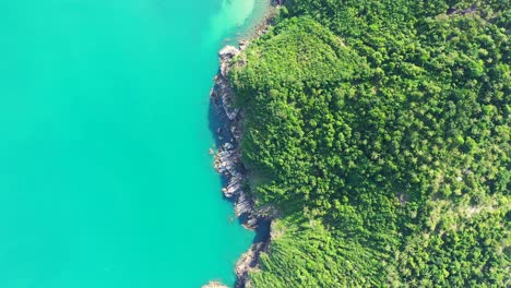 Hermoso-Bosque-De-Palmeras-En-La-Costa-Agua-De-Mar-Turquesa-Cristalina-Que-Se-Lava-En-La-Orilla