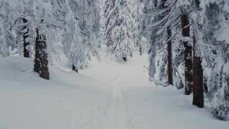 Skiing-through-the-snowy-forest-on-ski-touring-trail,-slow-motion,-pov,-wide