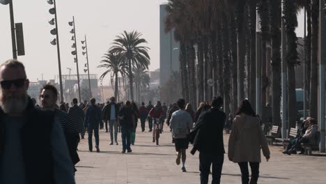 People-walking-and-running-on-the-boulevard-in-Barcelona-on-a-sunny-winter-day---zoomed-shot