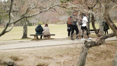 Closeup-View-Of-Sweet-Couples-Chilling-In-Nara-Park-In-Japan---Slowmo