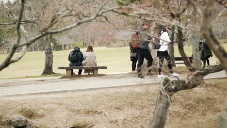 Vista-De-Cerca-De-Parejas-Dulces-Relajándose-En-El-Parque-De-Nara-En-Japón---Cámara-Lenta