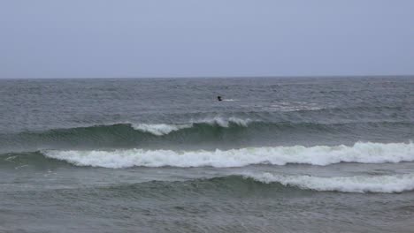 Solo-Hombre-Kite-Surf-En-La-Distancia-Durante-El-Invierno-En-El-Mar-Báltico