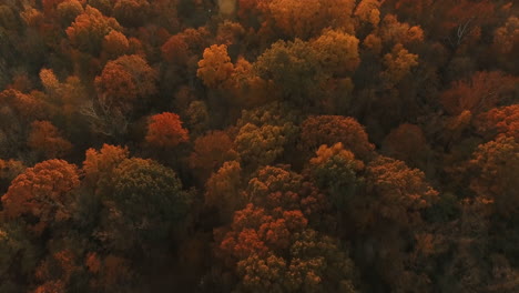 drone-shot-starting-on-autumn-forest-revealing-Westerville,-Ohio-and-cemetery