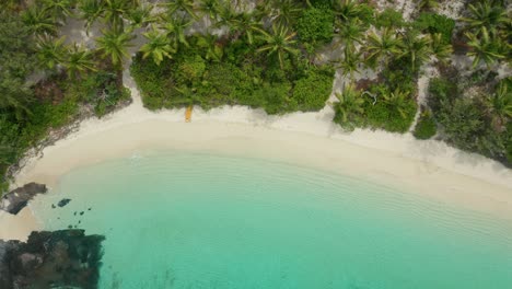 Oben-Blick-Auf-Den-Wunderschönen-Strand-In-Fidschi-Mit-Weißem-Sand-Und-Palmen-An-Einem-Sonnigen-Tag---Wunderschönes-Touristenziel---Luftaufnahme