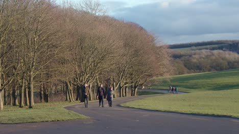 Gente-Caminando-En-El-Parque-En-Un-Día-De-Invierno-Frío-Y-Brillante-En-El-Templo-Newsam-Leeds,-Inglaterra