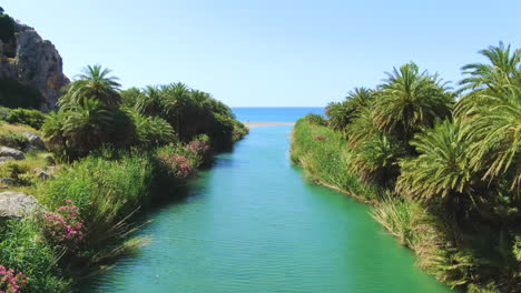 Wide-angle-dolly-in-drone-shot-of-the-Megas-Potamos-River-waters-emptying-into-Libyan-sea-at-preveli-beach-during-the-day-time