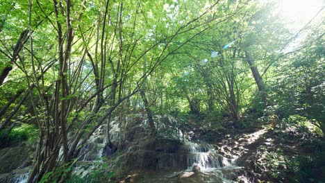 Ein-Kaskadierender-Wasserfall-Brach-Durch-Den-Wald