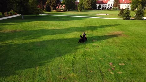 Luftaufnahme-Eines-Gehorsamstrainers,-Der-Zwei-Berner-Hunden-In-Einem-Stadtpark-Das-Befolgen-Beibringt