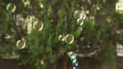 Transparent-bubbles-flying-into-the-air,-light-colorful-spheres-on-green-background