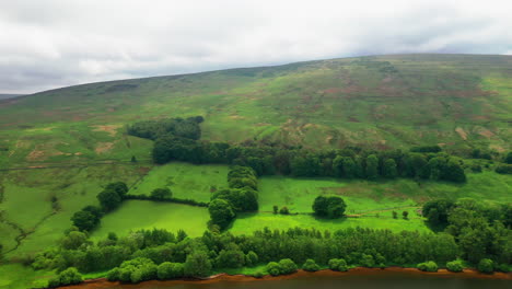 Aerial-shot-of-a-green-mountain-in-the-english-Lake-District-showing-forests-and-the-edge-of-a-lake,-bright-sunny-day