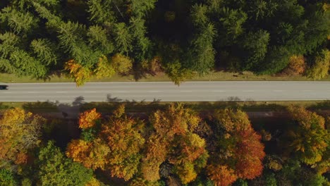 Draufsicht-Auf-Eine-Gerade-Straße-Mit-Fahrenden-Autos,-Umgeben-Von-Einem-Herbstfarbenen-Wald-An-Einem-Wunderschönen-Tag-Im-Herbst