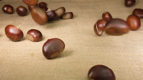 Chestnuts-on-jute-canvas-background