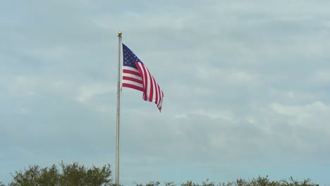 Bandera-Americana-Ondeando-Sobre-Los-árboles-A-Cámara-Lenta