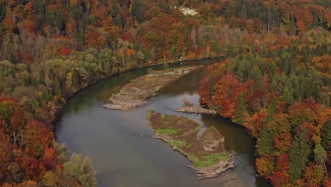 Wonderful-autumn-colors:-Aerial-of-a-river-with-little-islands-leading-through-a-colorful-forest-at-the-fall-season,-4k-footage-shot-by-a-drone,-zooming-out-while-flight-smooth-backwards