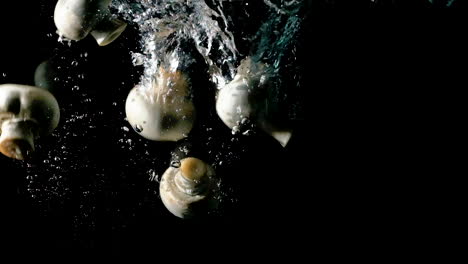 White-mushrooms-dropped-in-water-on-black-background,-slow-motion-close-up