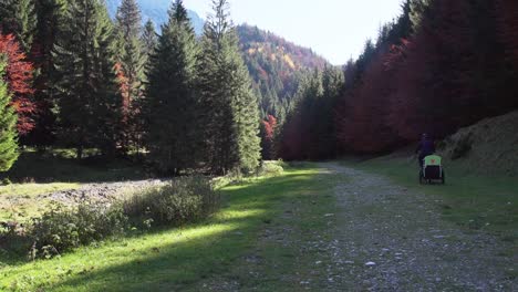 A-Man-Biking-On-A-Rough-Trail-Through-The-Dense-Pine-Autumn-Forest---Medium-Shot