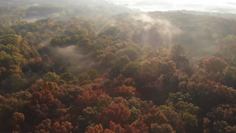 Misty-lush-Harrisburg-Illinois-Shawnee-National-forest