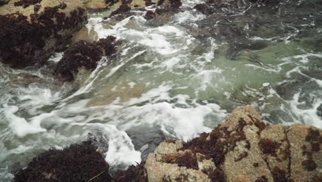 Southern-California-tide-pool-filling-in-with-water,-Asilomar-State-Beach-4k