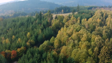 Tilt-aerial-view-of-the-Black-Forest-during-autumn,-Germany