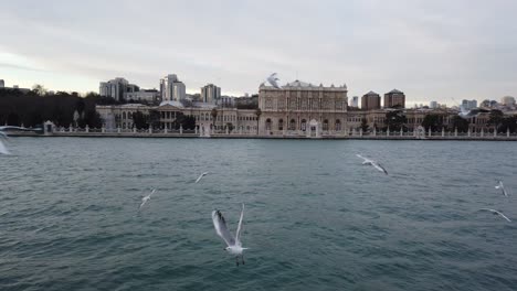 View-of-the-Dolmabahce-Palace-in-Istanbul-from-a-passing-ferry