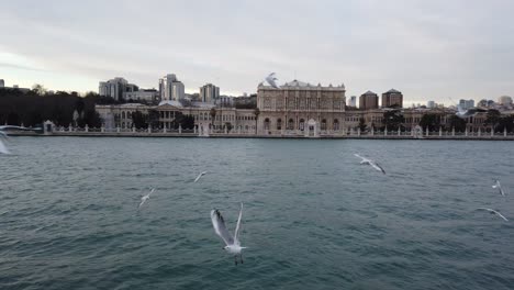 Vista-Del-Palacio-De-Dolmabahce-En-Estambul-Desde-Un-Ferry-Que-Pasa