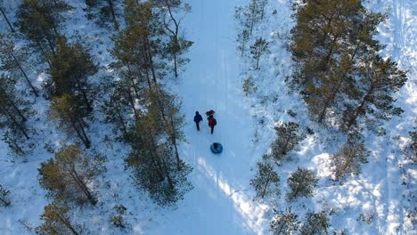 Drohnenaufnahme-Einer-Familie,-Die-Im-Wald-Spazieren-Geht