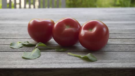 Rote-Frische-Bio-Tomate,-4k-2160p-25fps-Uhd-Video---Langsames-Schwenken-Auf-Einem-Nassen-Tomaten-Gemüse-Hintergrund-4k-3840x2160-UltraHD-Videos