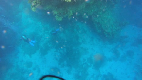 Diver-jumping-into-the-sea