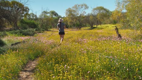 Young-woman-walks-through-a-meadow-of-colourful-Everlasting-wildflowers-in-Coalseam-Conservation-Park