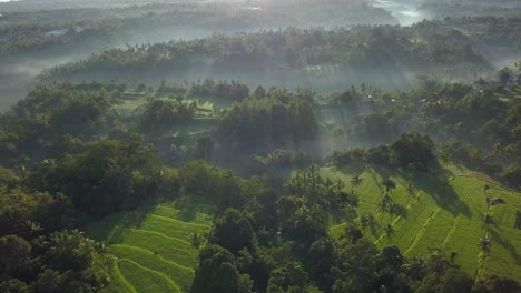 Luftaufnahmen-Der-Nebligen-Oder-Nebligen-Grünen-Tropischen-Landschaft-In-Bali-Oder-Asien-In-4k