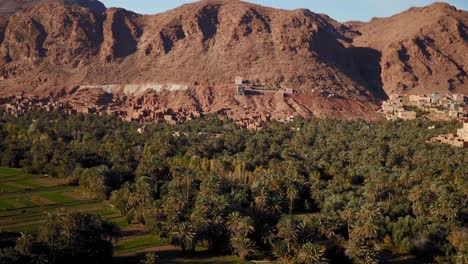 Panning-shot-of-green-palms-in-desert-oasis-near-Gorges-du-Todra-in-Morocco