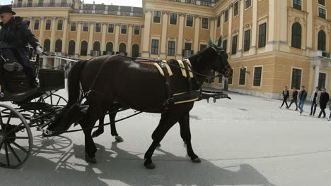 Horse-carriage-with-tourists-passing-front-of-the-Schönbrunn-Palace,-Vienna