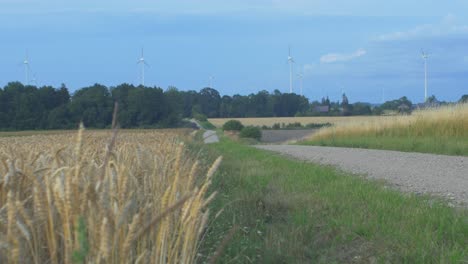 Wind-turbine-farm-producing-renewable-energy-for-green-ecological-world-at-beautiful-sunset,-ripe-golden-wheat-field-and-gravel-road-in-the-foreground,-wide-shot