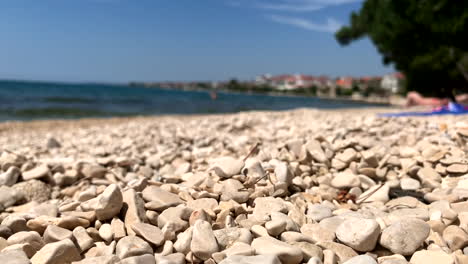 Pebble-beach-with-view-from-below-of-the-sea-and-houses-in-Zadar-Croatia