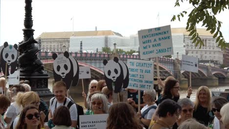 Demonstranten-Gegen-Den-Klimawandel-Versammeln-Sich-Entlang-Der-Themse-Und-Vor-Dem-Parlament,-Denn-Jetzt-Finden-Friedliche-Proteste-Statt