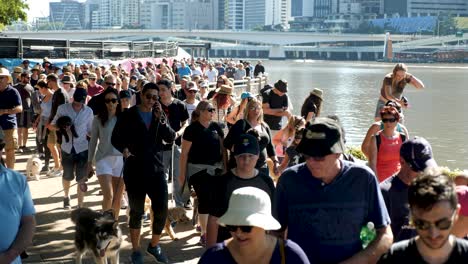 Millones-De-Patas-Caminando,-Paseando-Perros-En-Southbank,-Brisbane-2018---Parque-Para-Perros,-Paseando-Perros-Con-El-Dueño---Personas-En-áreas-Públicas