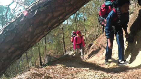 Himalayan-mountaineers-of-a-Mountaineering-training-institute-on-their-way-to-the-trail