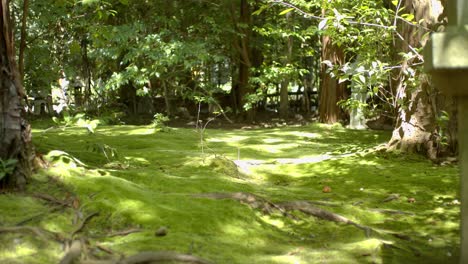 Traditional-Japanese-green-garden-midday-sunlight-in-Kyoto,-Japan-slow-motion-4K