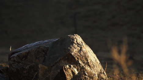 Smashing-a-soda-can-to-debris-with-bullets-at-Lucerne-valley