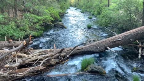 Der-Falls-Loops-Trail-Im-Burney-Falls-National-Park-Im-Shasta-County,-Kalifornien