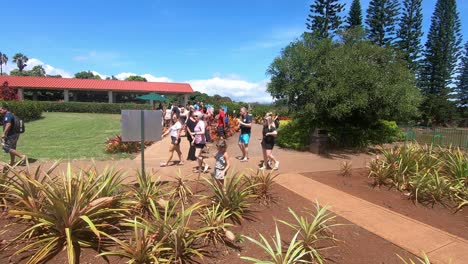 Personas-Que-Visitan-La-Plantación-De-Dole-En-Honolulu,-Hawaii-Y-Miran-Las-Plantas