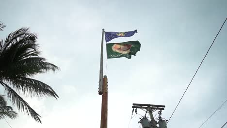 Disparo-En-ángulo-Bajo-Del-Asta-De-La-Bandera-Con-Key-West-Y-La-Bandera-De-La-República-De-La-Concha-Ondeando-En-Un-Día-Nublado-Con-Transformador-Y-Líneas-Eléctricas-En-Segundo-Plano.