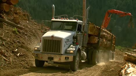 Forstwagen-Voller-Holz