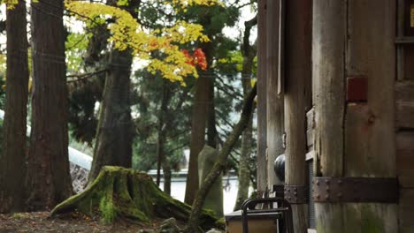 Japanese-woman-stepping-outside-the-wooden-gate-of-a-temple-on-mount-Hiei-zan,-Kyoto,-Japan