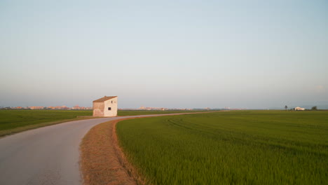 Road-and-small-rural-house-between-the-rice-fields-in-the-Albufera,-Valencia,-Spain