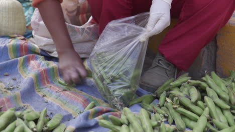 A-vendor-putting-beans-into-a-plastic-bag-in-a-market-in-Ollantaytambo,-Peru