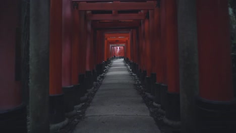 Caminando-A-Través-De-Las-Puertas-Torii-Rojas-Del-Famoso-Santuario-Fushimi-Inari-En-Kyoto,-Japón